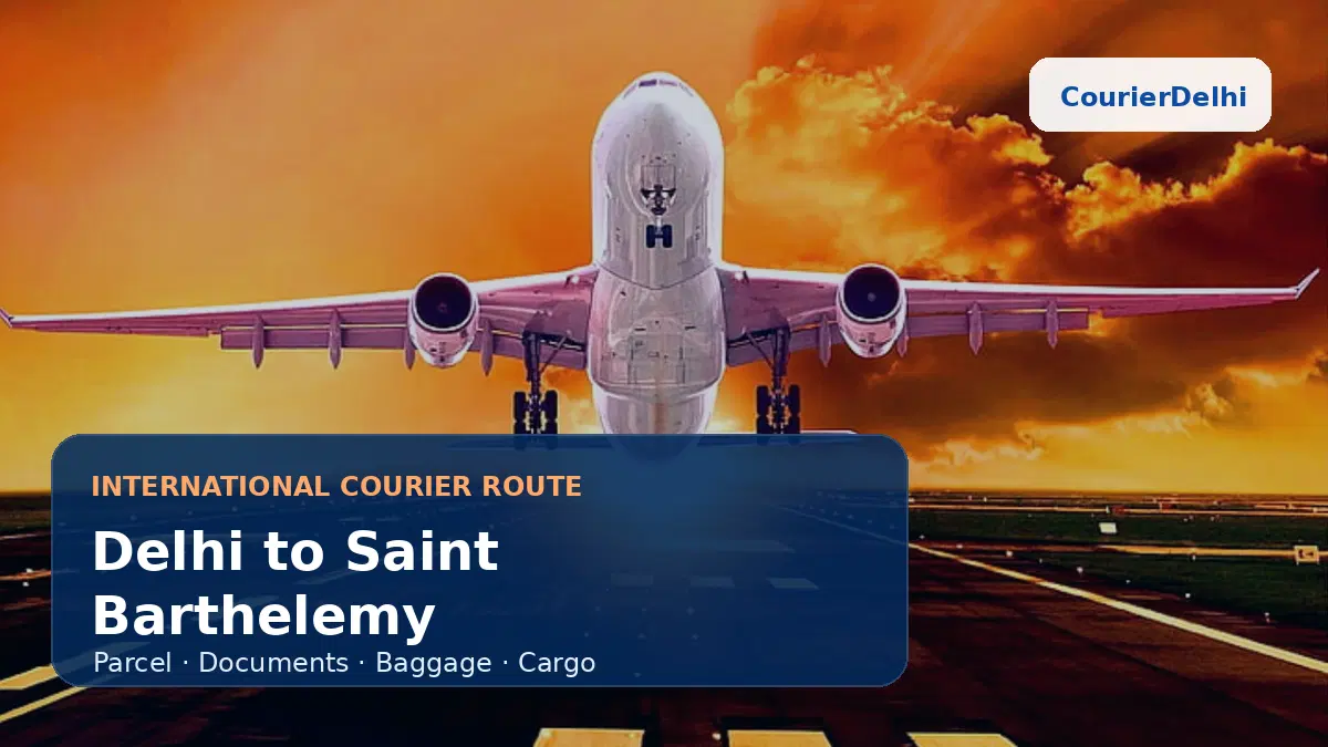 Courier service from Delhi to Saint Barthelemy
